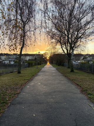 foto vom sonnenaufgang in der kleingartensiedlung „togo“
