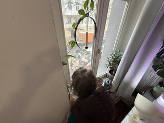 die beifahrering schaut aus unserem strassenfenster auf den &bdquo;kieztag&ldquo; vor unserer haust&uuml;r. die strasse ist voll mit bsr-m&uuml;llautos, sperrm&uuml;ll und sperrm&uuml;llspechten