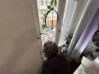 die beifahrering schaut aus unserem strassenfenster auf den &bdquo;kieztag&ldquo; vor unserer haust&uuml;r. die strasse ist voll mit bsr-m&uuml;llautos, sperrm&uuml;ll und sperrm&uuml;llspechten