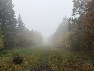 die rodelwiese in den rehbergen im herbstlichen nebel.