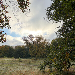 tagebuch 13.10.2025
