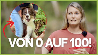 YouTube Video Vorschaubild