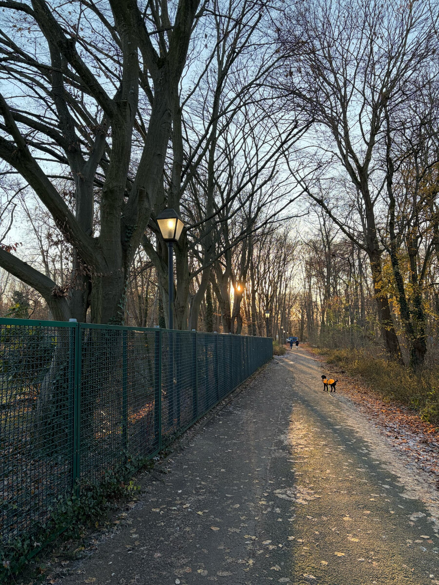 foto vom weg zwischen der kita dohnagestell und dem strassen und grünflächenamt mitte, man sieht die sonne untergehen und leuchtende srassenlaternen