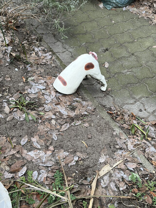 foto einer terrier figur die den kopf in den sand zu stecken scheint