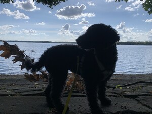 bild von frida wie sie vor dem tegeler see steht, die wolken sehen interessant aus