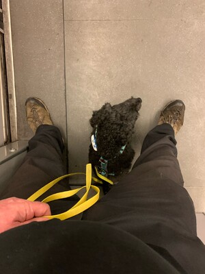 bild von frida in der ubahn, sie sitzt zwischen meinen beinen und schaut nach rechts