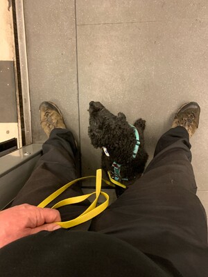 bild von frida in der ubahn, sie sitzt zwischen meinen beinen und schaut nach links.