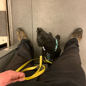 uhbahn fahren mit frida