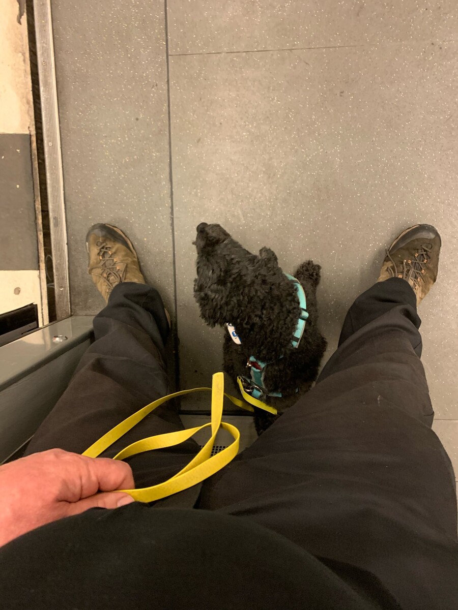 bild von frida in der ubahn, sie sitzt zwischen meinen beinen und schaut nach links.