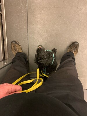 bild von frida in der ubahn, sie sitzt zwischen meinen beinen und schaut mich an.