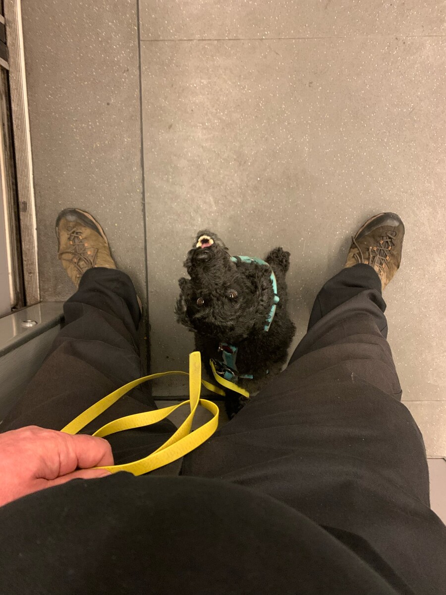 bild von frida in der ubahn, sie sitzt zwischen meinen beinen und schaut mich an.