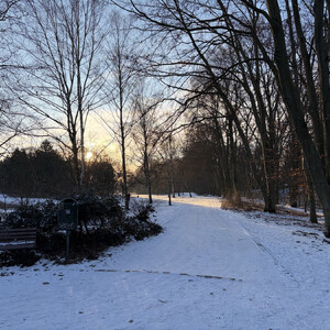 um den pl&ouml;tzensee