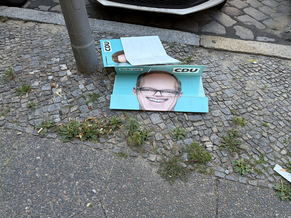 wahlkampffalten