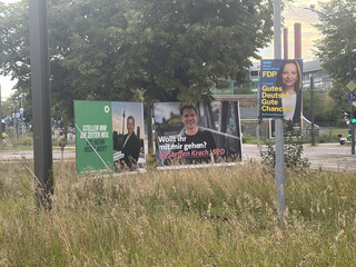 zwei wahlplakate auf der gr&uuml;nen mittelinsel am ende der seestrasse.