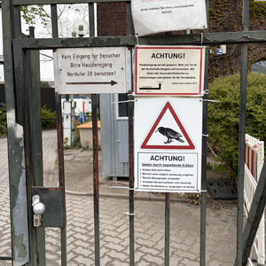 warnungen des robert-koch-institut am nordufer