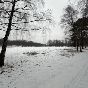 wie in einem bruegel gem&auml;lde