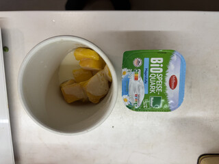 blick in einen mix-behälter mit TK-mango, sahne und milch. daneben ein paket quark.