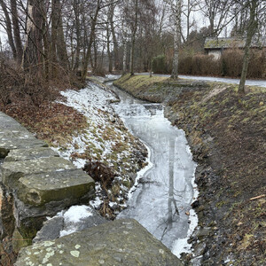 morgenspaziergang zum festplatz, zur&uuml;ck mit bus & bahn