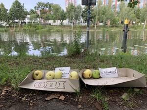 bild von äpfeln „zum mitnehmen“ am hohenzollernkanl in berlin.