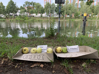 bild von äpfeln „zum mitnehmen“ am hohenzollernkanl in berlin.