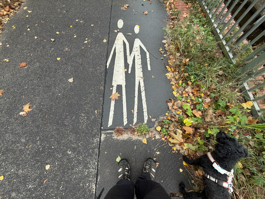 bild von einer fussgänger-strassenbeschriftung mit frida und mir davor