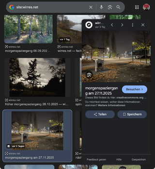 screenshot meines ersten als cc-lizensiert erkannten bildes im google index.