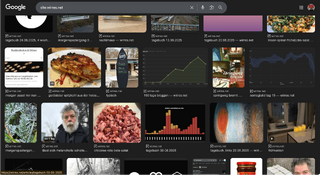 screenshot der google bildersuche für wirres.net mit zusatzinfos über bewegtbilder, rezepten und lizenzten