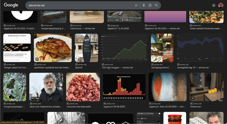 screenshot der google bildersuche für wirres.net mit zusatzinfos über bewegtbilder, rezepten und lizenzten