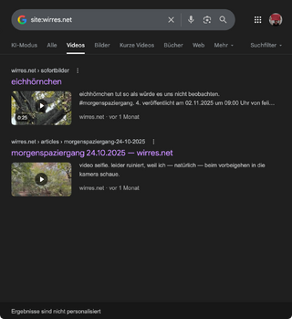 screenshot der videos die google für wirres.net im index hat