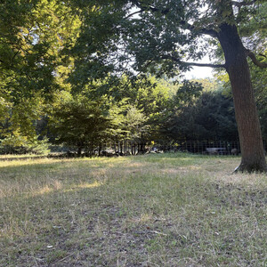 park am pl&ouml;tzensee