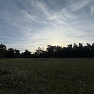 goethepark
