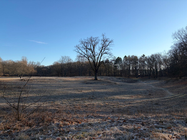 b&uuml;rgerwiese