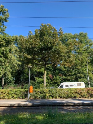 H Virchow-Klinikum