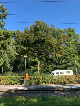 H Virchow-Klinikum