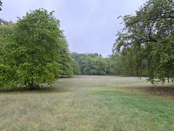b&uuml;rgerwiese