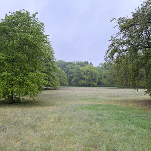 b&uuml;rgerwiese