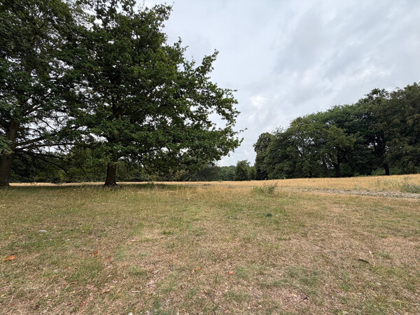 b&uuml;rgerwiese