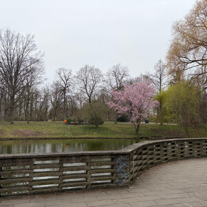 stadtpark lichtenberg (parkaue)