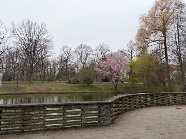 stadtpark lichtenberg (parkaue)