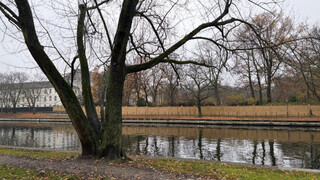 Park am Präsidentendreieck