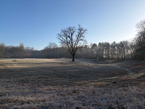b&uuml;rgerwiese