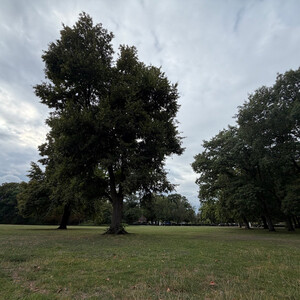 schillerpark