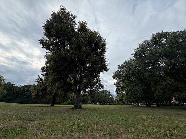 schillerpark