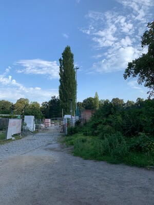 Sportplatz am Schäfersee