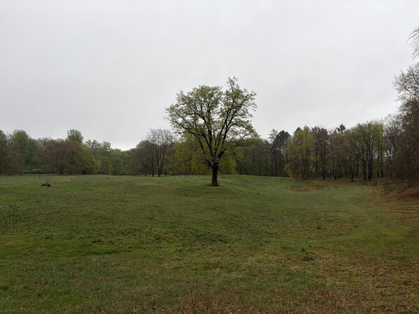 b&uuml;rgerwiese