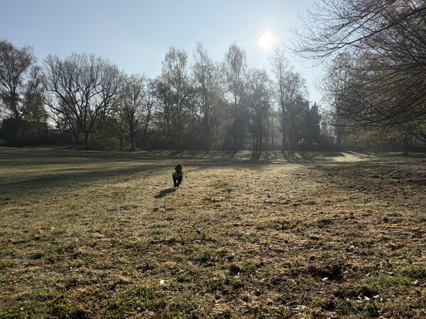 goethepark