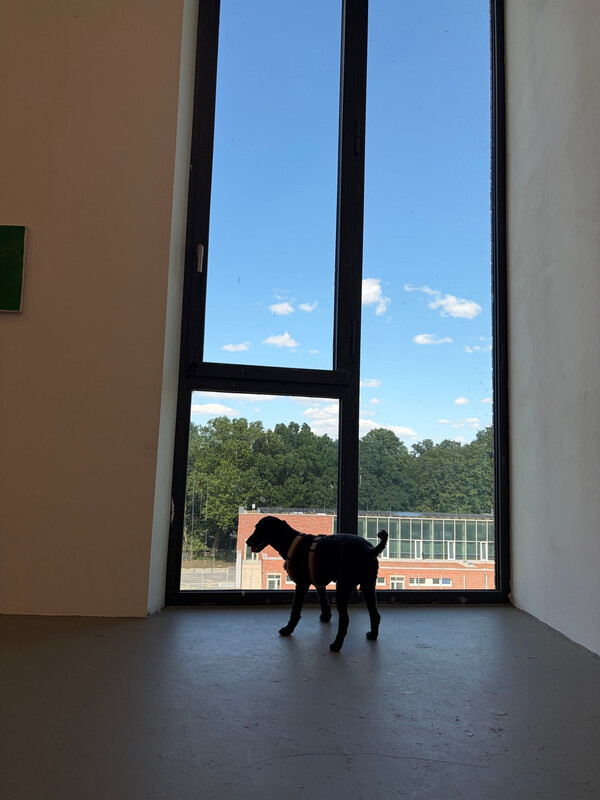 hochschule f&uuml;r bildende k&uuml;nste