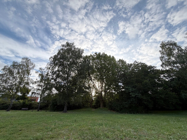goethepark