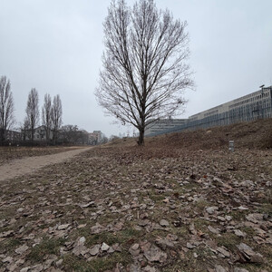 gr&uuml;nzug an der s&uuml;dpanke