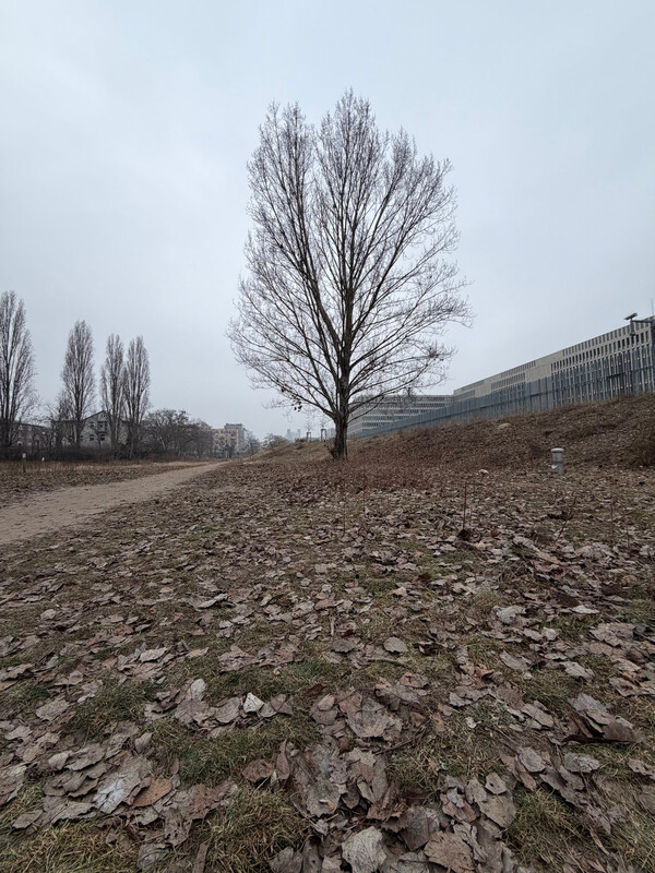 gr&uuml;nzug an der s&uuml;dpanke